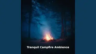 Tranquil Campfire Ambience Sounds, Pt.24