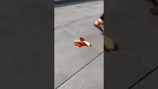 Sandals crush fruits