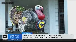 Brookline to use COVID relief money to fund statues of unofficial Turkey mascot