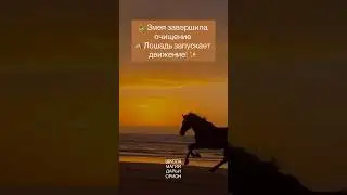 А у тебя уже есть ритуалы на Новый Год?