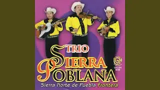 Sierra Norte
