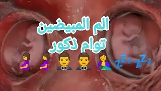 هل الم المبيضين من اعراض الحمل في توام باذن الله تعالى 🤲🤰💤🤵🤵🤱