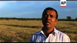 Elephant census causing controversy