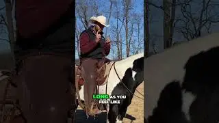 Understanding Horse Behavior: Effective Training Techniques