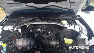 ★ Buying The 2016 Ford Mustang Shelby GT350 Perhaps? AUTOMOHO VLOG #4 ║ Car Crash Compilation