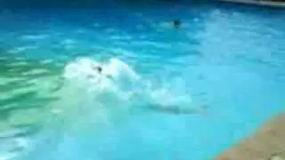 ta tsakalia tis neraidas