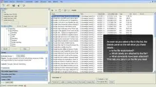 Organyze 3.1 Demo - File Management Software for Individuals & Enteprise Use