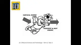 GRADE 5 LESSON 4  TERM 3 Input and output energy
