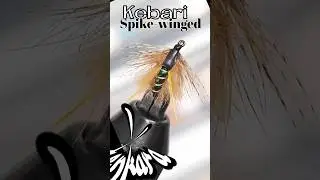 Fly tying Kebari Spike-winged 🤗🎣🍀#montajedemoscas #tenkara #atadodemoscas #keiryu
