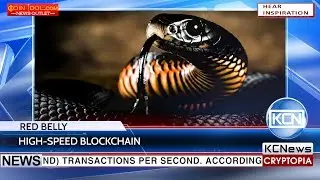 KCN &ldquo;Red Belly&rdquo; blockchain provides 440,000 transactions per second
