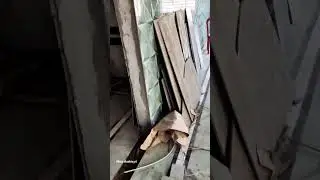 #music #tiles #home #settings #new #shortvideos #viralvideos #subscribe #interiordesign #lucu Aashiq