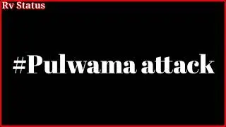 Black Fay 14 February salute 40 soldiers salute  whatsapp Status