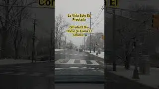 Vive La Vida Como Si Fuera El Ultimo Dia