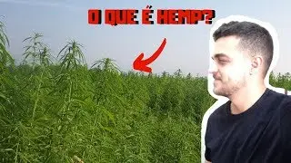 O que &eacute; HEMP / C&Acirc;NHAMO...