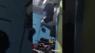 Burung Asi Kumis gacor dor, cocok untuk masteran murai besetan kasar