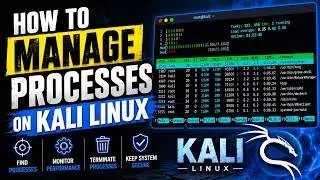 How to Manage Processes on Kali Linux | Process Management on Linux