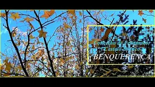BENQUERENÇA, Concelho de Penamacor (Castelo Branco)  2-11-2023