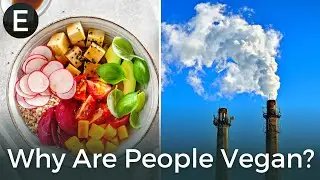 The Benefits of Plant-Based Diet For The Environment