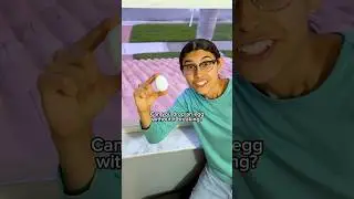 #Sponsored Egg Drop Experiment 😱🥚@GoogleGemini