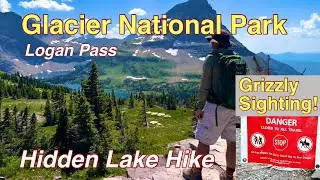 Hidden Lake Hike at Logan Pass in Glacier National Park over the Years-grizzly encounter!
