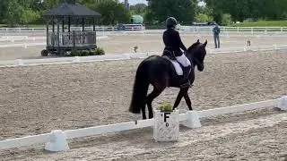 USDF Second level Disney freestyle 70.8 May 2025
