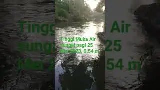 pantau tinggi Muka Air sungai pagi 25 mei 1023 #hidrology #sungai #river