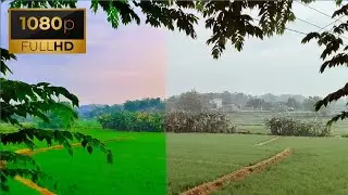 Beauty Nature | COLOR GRADING PART 227