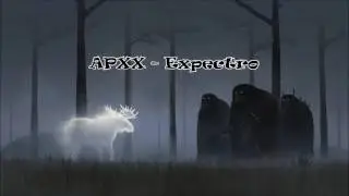 APXX - Expectro (Original Mix)