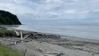 Puget Sound beach