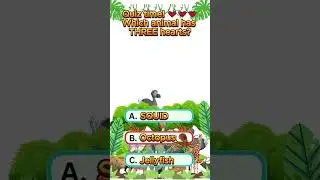 💓 Which Animal Has THREE Hearts?! #AnimalAnatomy #Shorts