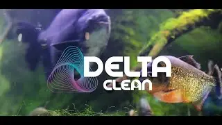 DeltaClean Anticloro