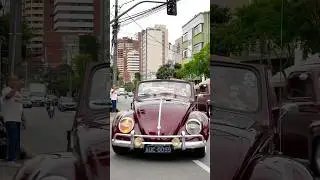 Volkswagen Beetle #beetle #воздушное охлаждение #volks #volkswagen #cars