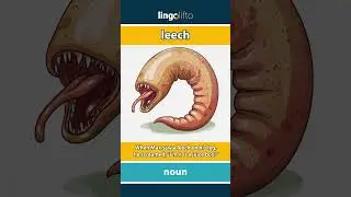 🇬🇧 Leech Meaning : Flash Card : Learn English Vocabulary