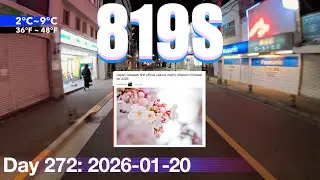Cherry Blossom Forecast for 2026