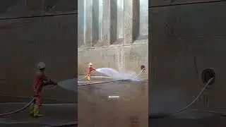 Жертвуют своей жизнью 😱