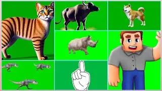 chroma key, green screen, video editing, special effects, filmmaking, post production