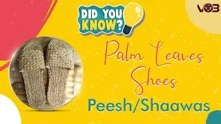 Did You Know | Palm Leaves Shoes | Interesting Information