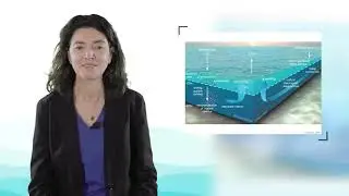 La pompe biologique de carbone dans l'océan