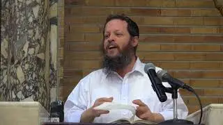 נטילת לולב כל שבעה - והמסתעף מכך לענין דיחוי במצוות ולענין ברכת הלולב