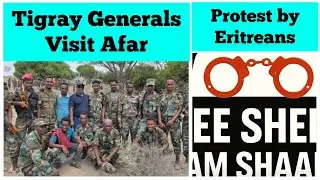 Tigray Military Generals Visit Afar | Protest by Eritreans