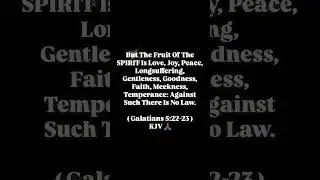 Fruit Of The SPIRIT Is Love, Joy, Peace, Longsuffering, Gentleness, Goodness, Faith, Meekness