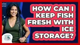 How Can I Keep Fish Fresh With Ice Storage?