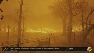 Fallout 76 - Kill Insects (0/10) - Daily Challenge