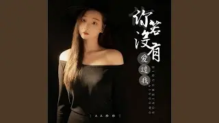 你若没有爱过我 (Dj彭锐版)