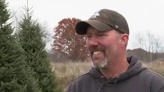 Michigan fir tree selected as official White House Christmas Tree