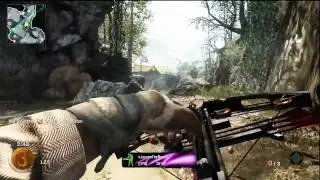 Sticks and stones