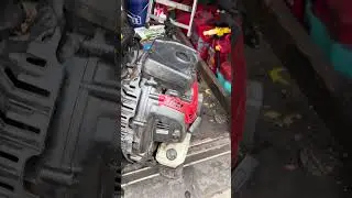 What to expect from a redmax 9000 or husqvarna 590 in only one year of use if used everyday