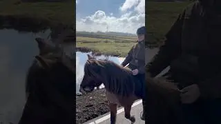 Outdoor Ride On Svand&iacute;s With An Amazing T&ouml;lt! #icelandic #outdoorride #t&ouml;lt