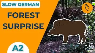 Learn German in the Forest – Wild Boar Surprise 🌳🐗 | Easy Vlogs #2 | Comprehensible Input [A2]