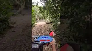 SAVE MOLLEM ❤ #shorts  #viral #shortsvideo